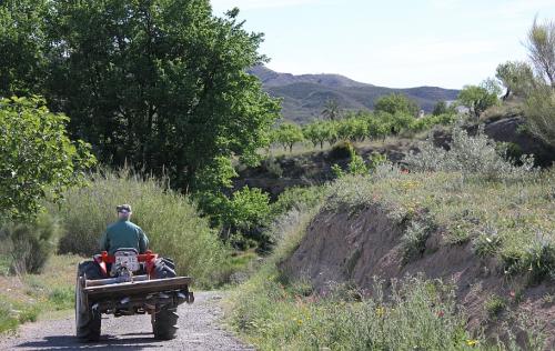 View from back of Villa